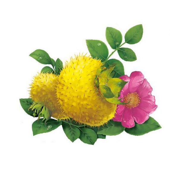 刺梨带榨葫芦娃短视频APP